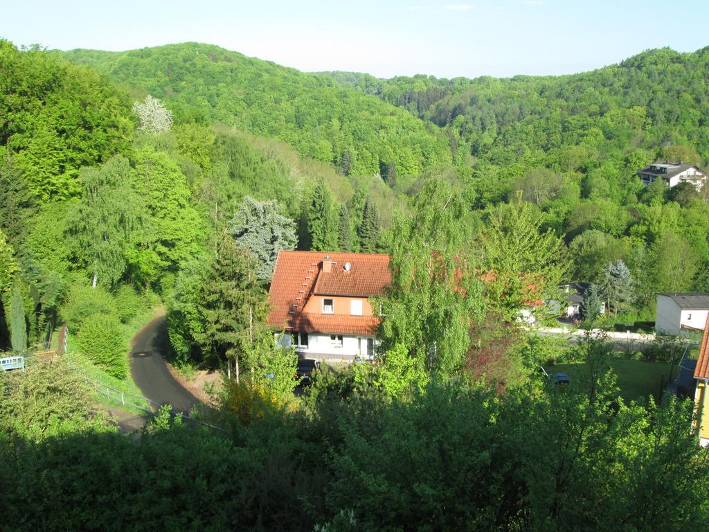 Schlossberg Ferienwohnung Waldeck  Kültér fotó